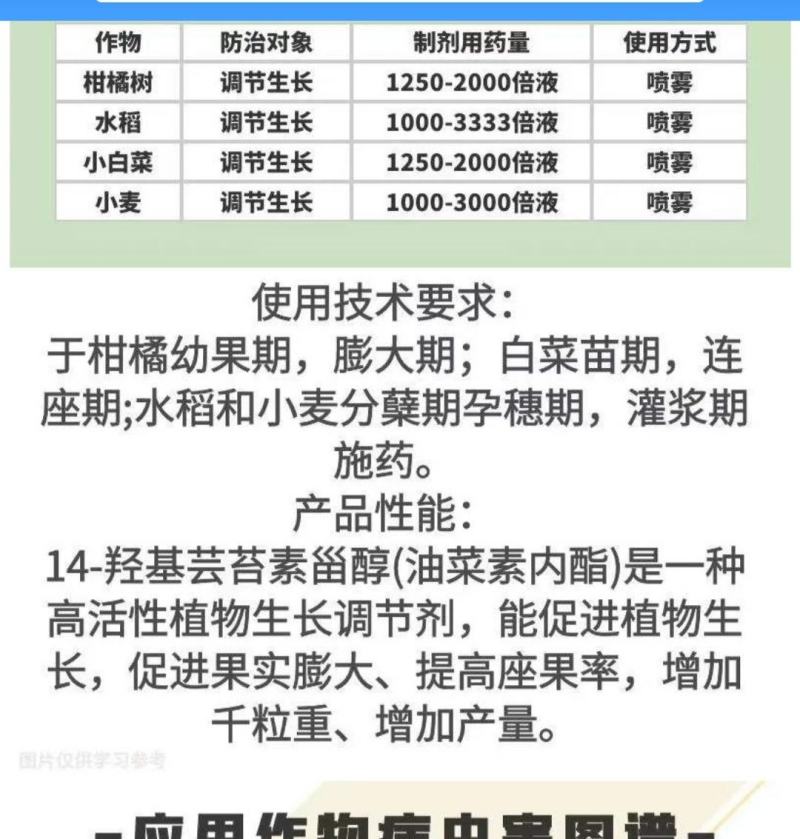 481硕丰14-羟基芸苔素甾醇解药害保花保果调节剂