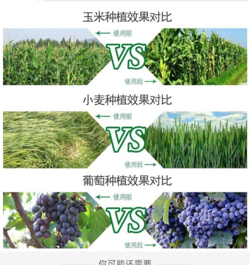 481硕丰14-羟基芸苔素甾醇解药害保花保果调节剂