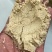 玉米淀粉，玉米粉尘，碎玉米