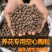 陶粒球垫底花盆防烂根多肉种植铺面无土栽培营养土优质园艺