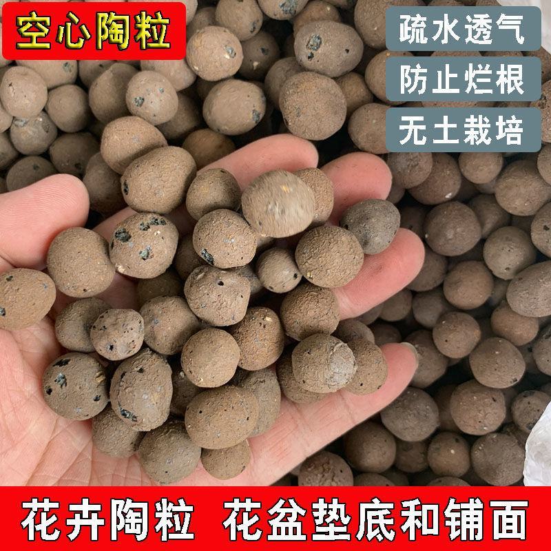 陶粒球垫底花盆防烂根多肉种植铺面无土栽培营养土优质园艺