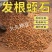 蛭石花用扦插育苗发根养花珍珠岩粗至石乌龟蛋孵化专用土培育