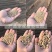 蛭石花用扦插育苗发根养花珍珠岩粗至石乌龟蛋孵化专用土培育