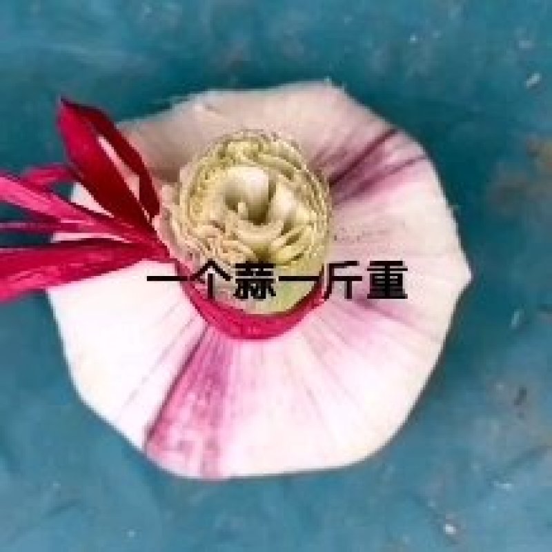扒皮蒜