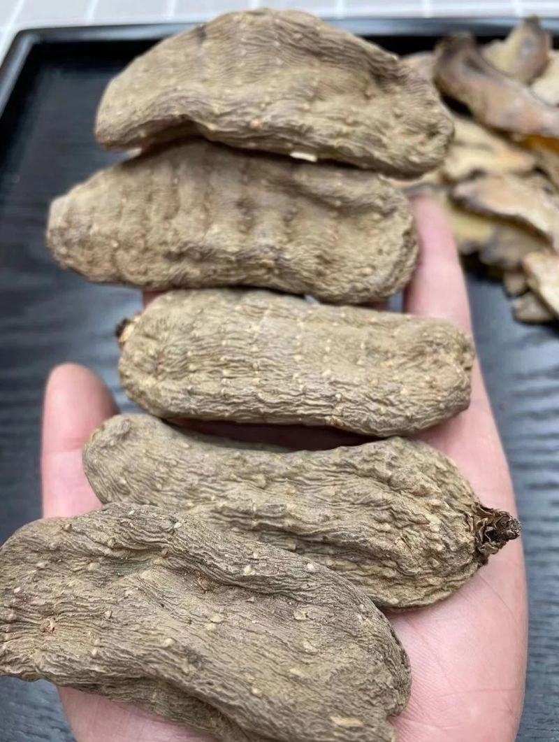 【乌天麻】云南乌天麻5个一斤乌天麻多规格可选包邮