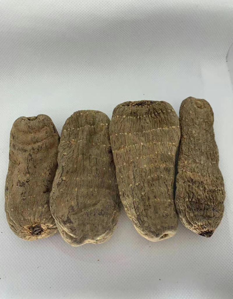 【乌天麻】云南乌天麻5个一斤乌天麻多规格可选包邮