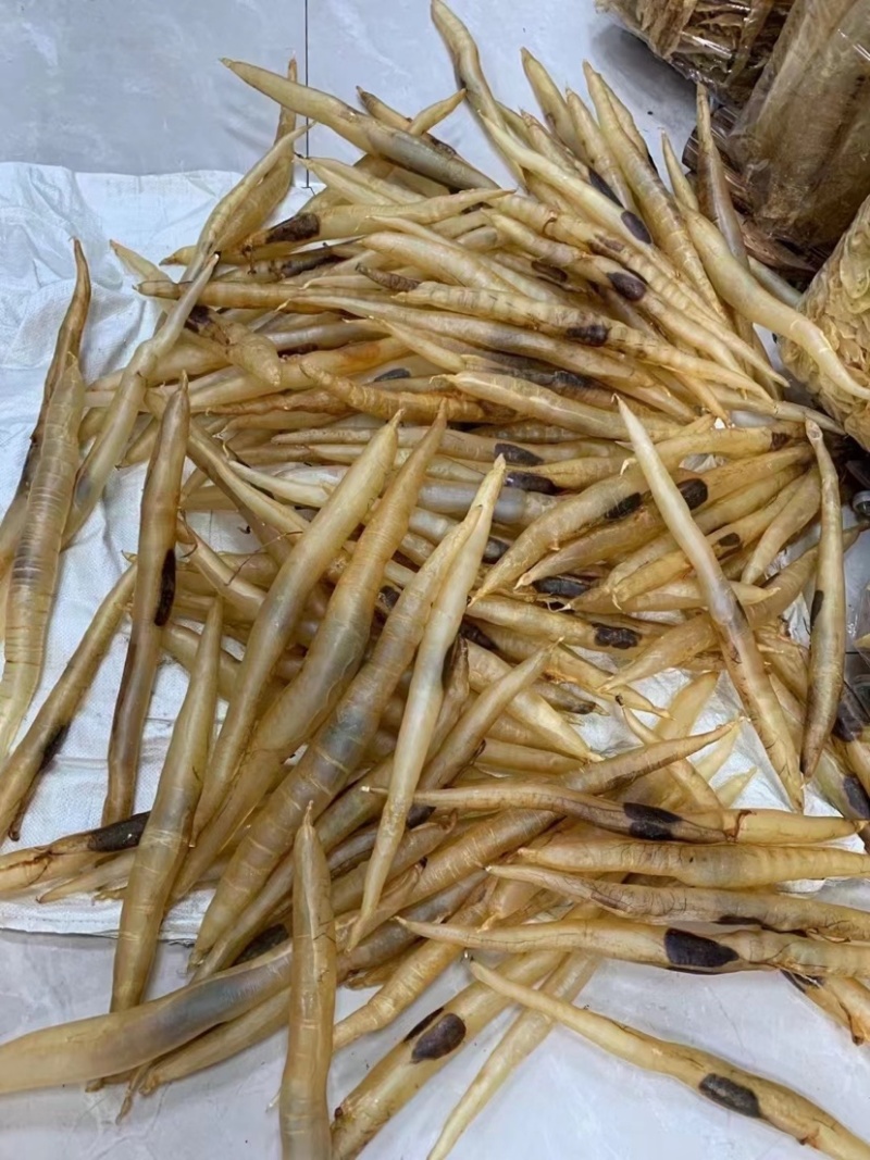 鳝鱼肚海鳗鱼胶大量批发零售鱼胶干货