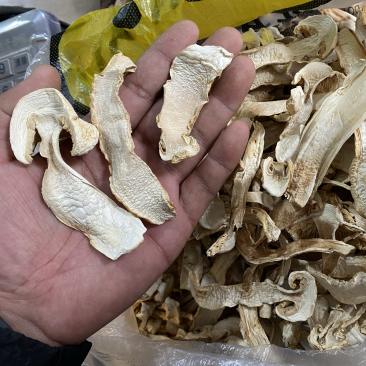 松茸干片（去心片）