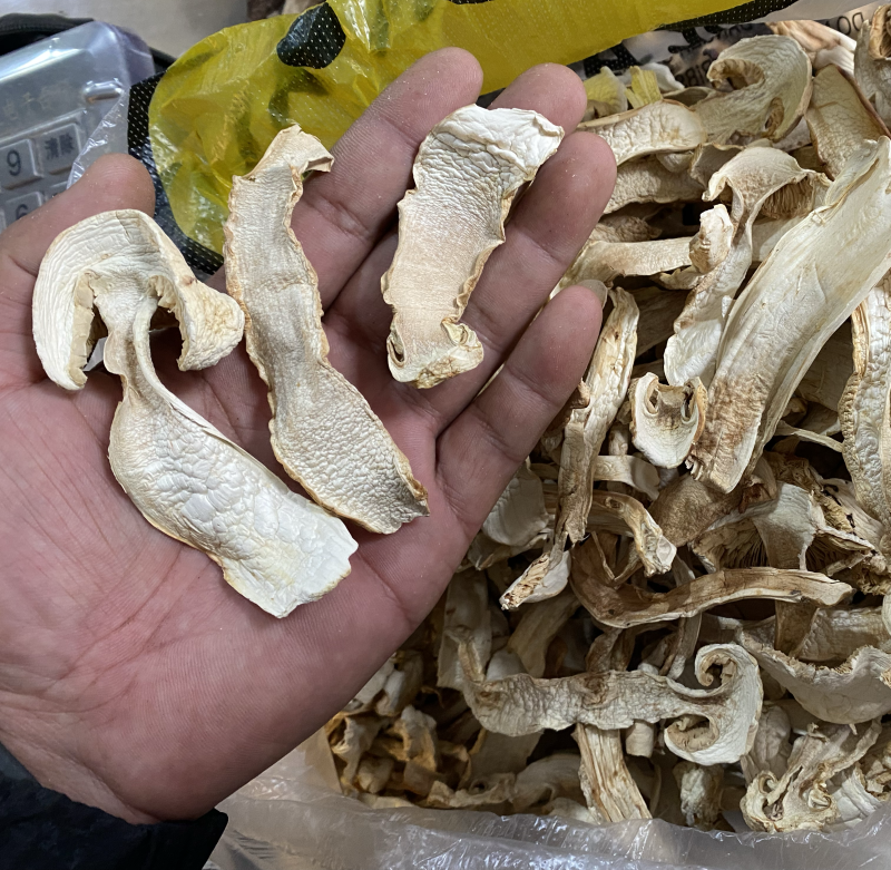 松茸干片（去心片）