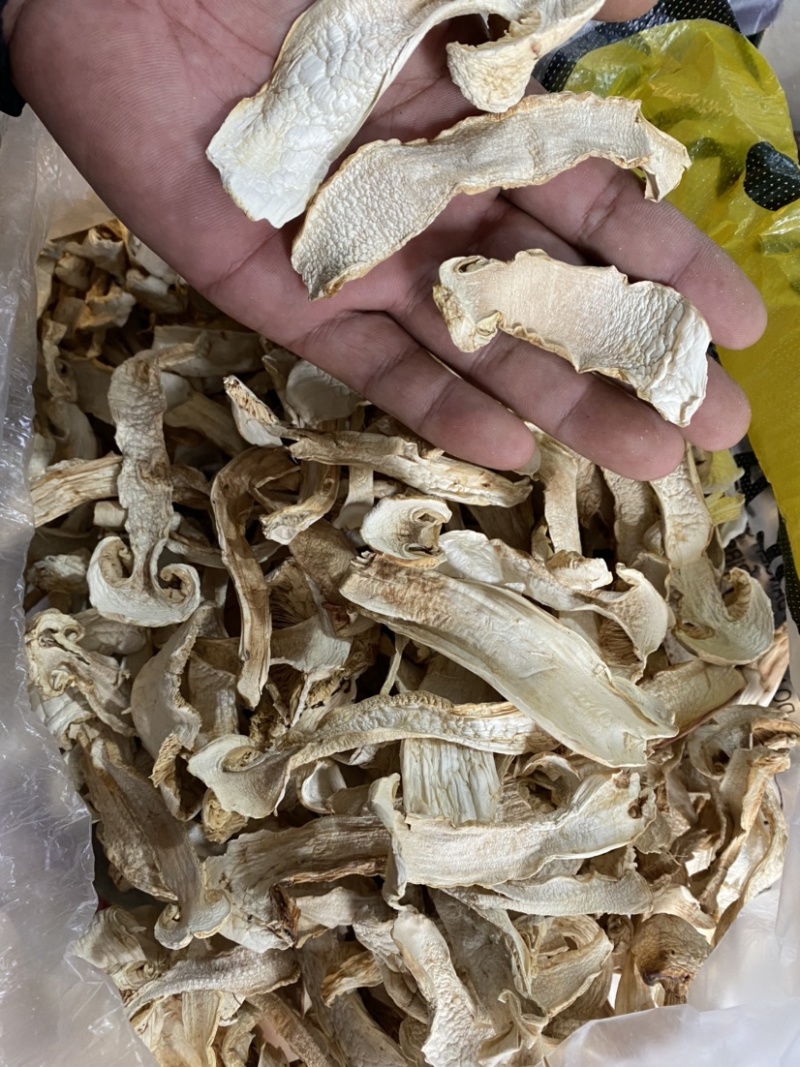 松茸干片（去心片）
