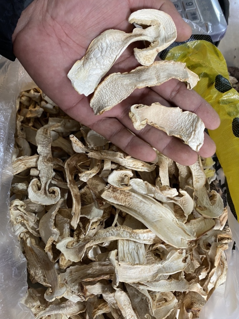 松茸干片（去心片）