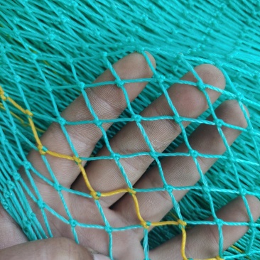 防鸟网
