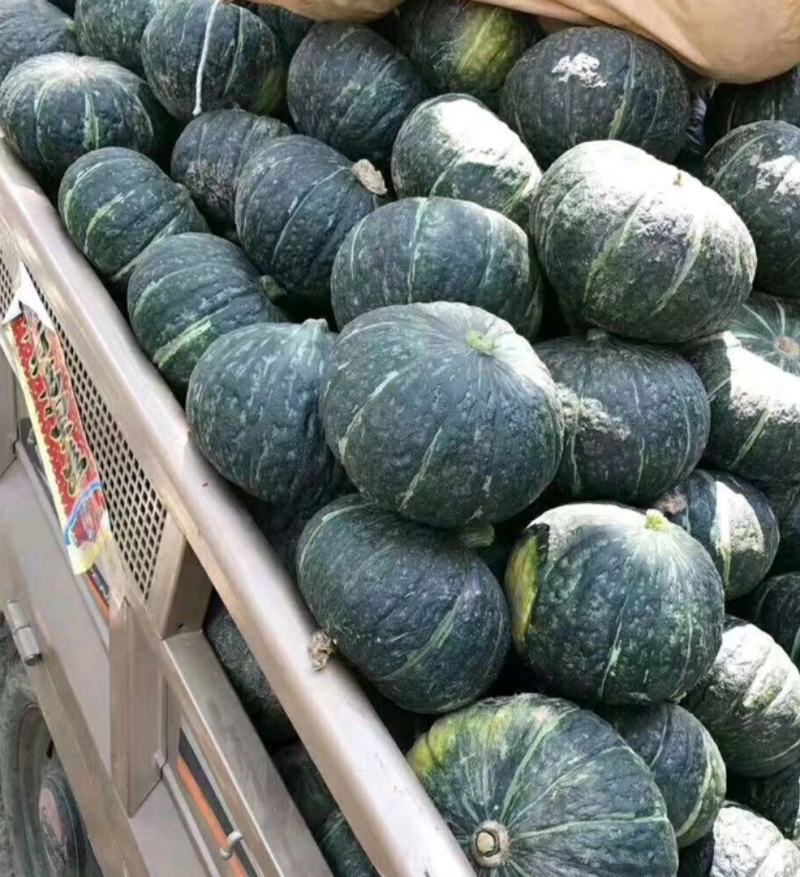 精选【板栗南瓜】河北饶阳精品南瓜直供电商加工厂等欢迎联系