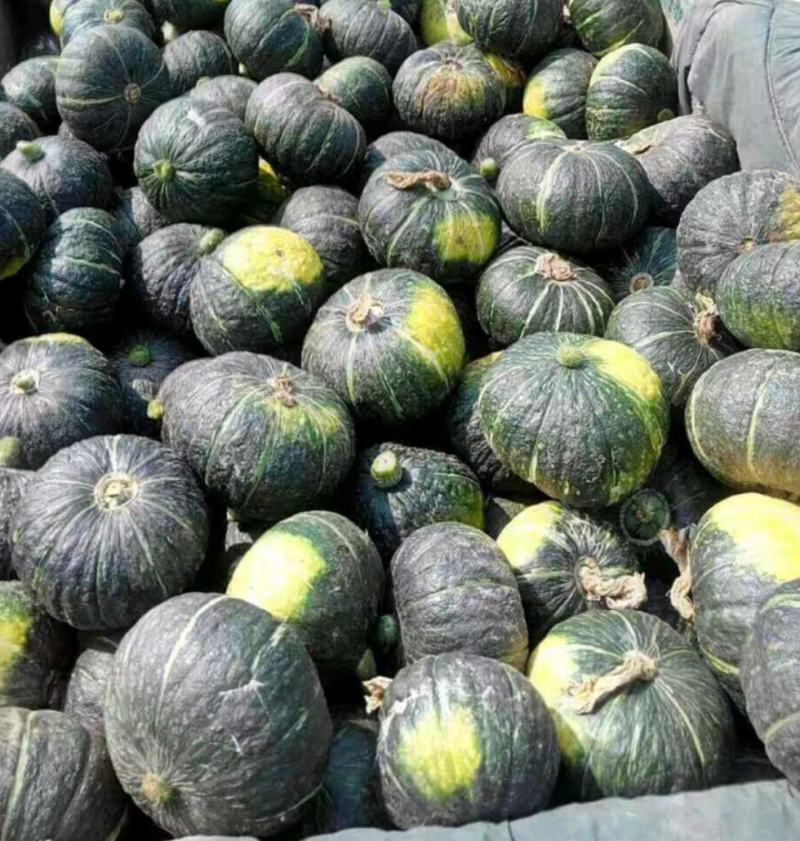 精选【板栗南瓜】河北饶阳精品南瓜直供电商加工厂等欢迎联系