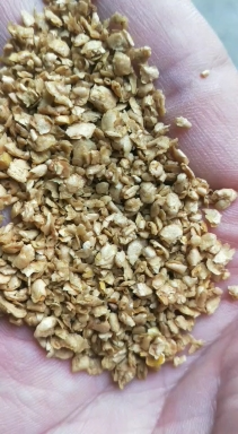 大量生产糖蜜麸皮，香味浓郁，适口性好，养殖户的福音