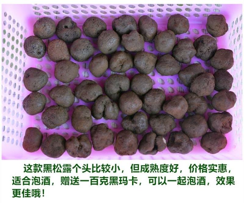【冰冻松露】精选高黎贡黑色无虫眼坏的包赔