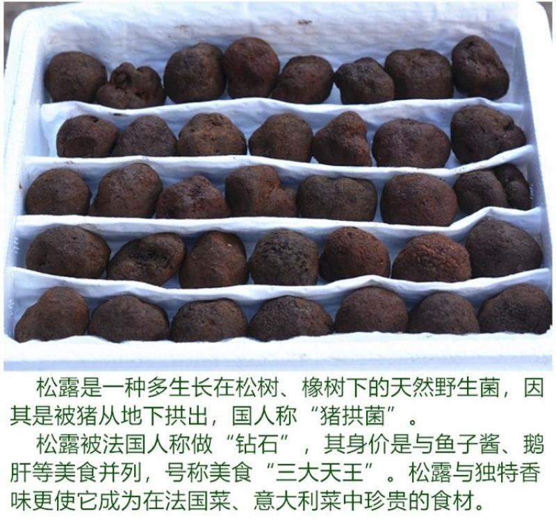 【冰冻松露】精选高黎贡黑色无虫眼坏的包赔
