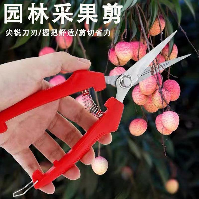 葡萄采果剪稀果疏花剪修花枝剪柑橘子蔬果采摘摘果剪刀