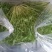 沈阳新民菊花苦菊