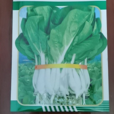美甜甜脆小白菜种子，生长快速