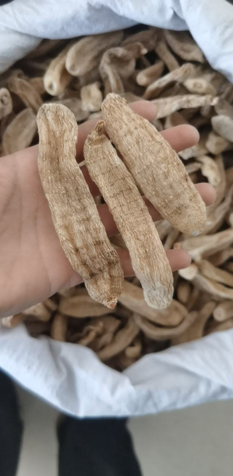 天麻个统装500g产地四川振兴药材购销站量大从优