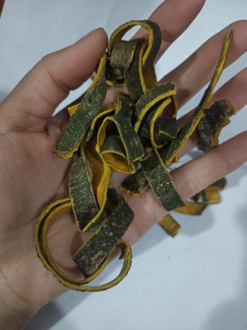 川黄柏实物拍摄物美价廉重在品质常年有货源