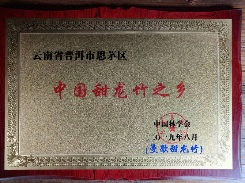 甜龙竹种苗曼歇甜龙笋（水果笋）竹种竹苗基地直供