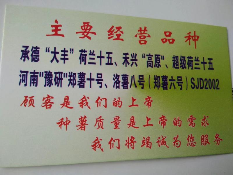 睢阳荷兰十五土豆产地直供量大从优可供商超全国发