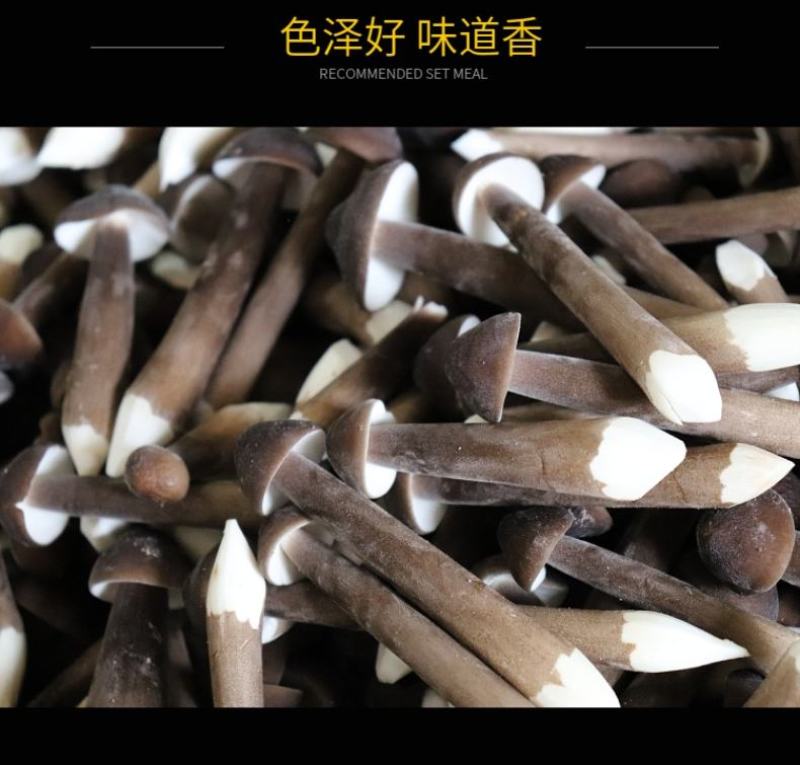 【新鲜黑皮鸡枞】新鲜直采无泥菌体肥实