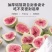 冻干无花果水果干无花果干脱水即食果蔬脆片新鲜孕妇零食包邮