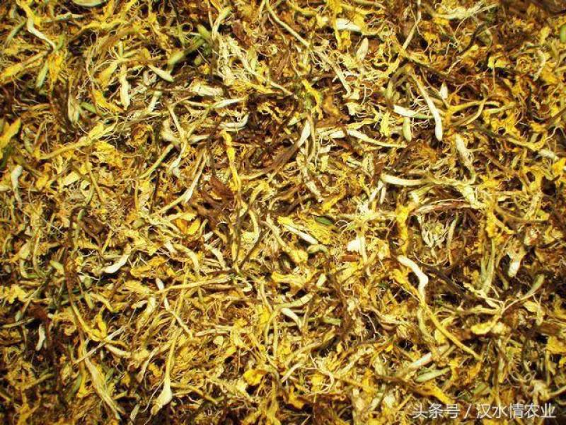 金银花.野生山银花.二花.产地直销诚信经营欢迎下单