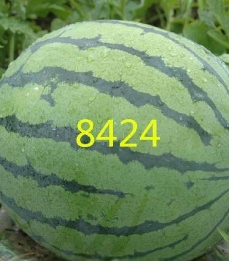 西瓜