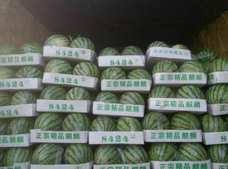 西瓜