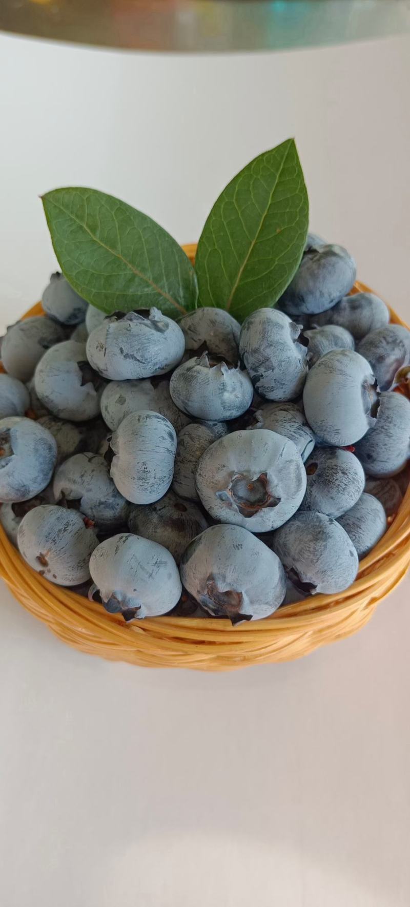 【一件代发】新鲜蓝莓，电商供应链，露天蓝莓，电商