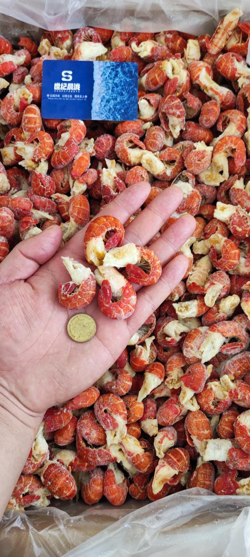 纯干冰原料龙虾尾每件净20斤，产地直供量大优惠