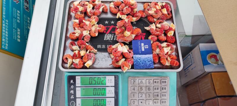 纯干冰原料龙虾尾每件净20斤，产地直供量大优惠