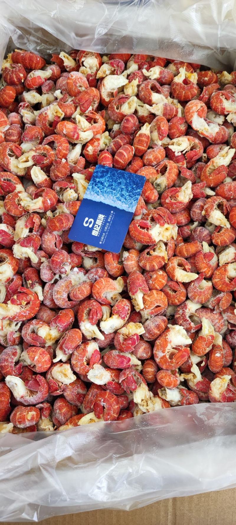 纯干冰原料龙虾尾每件净20斤，产地直供量大优惠