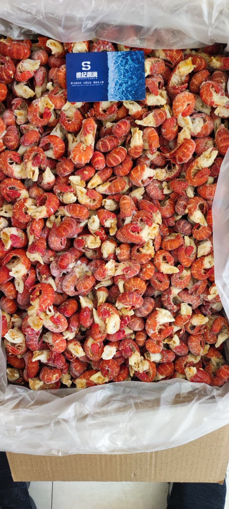 纯干冰原料龙虾尾每件净20斤，产地直供量大优惠