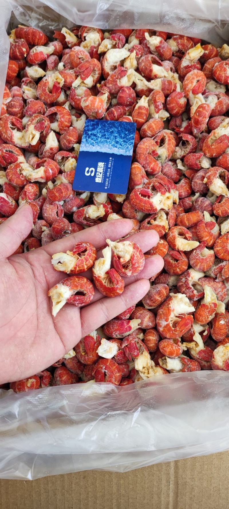 纯干冰原料龙虾尾每件净20斤，产地直供量大优惠
