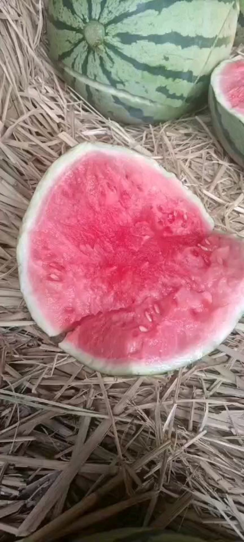 【美都】美都西瓜口感甜汁水多包甜包鲜全国供应
