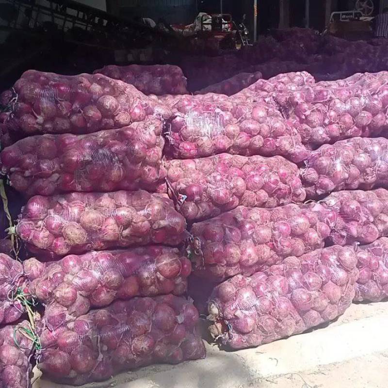 精品洋葱，产地直供，质优价廉，真实报价，每天更新