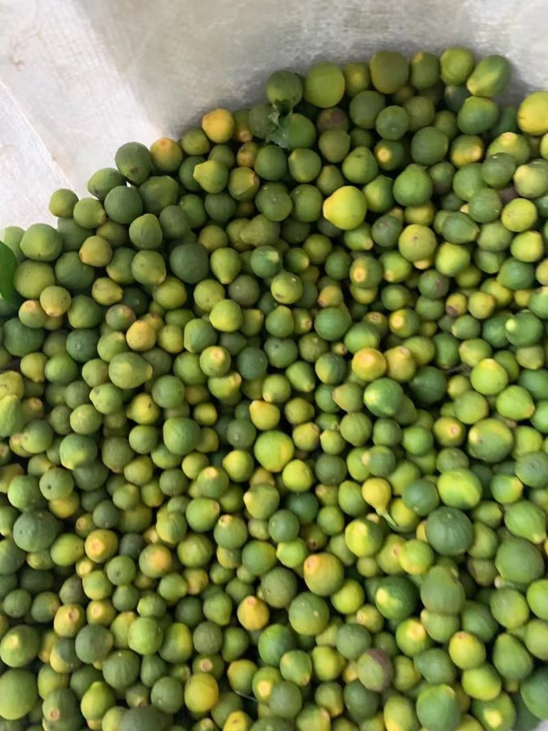 枳实中药材小果大量有货