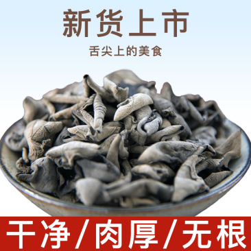 【优品】东北椴木小碗耳,可供超市,社区,高端酒店欢迎购买