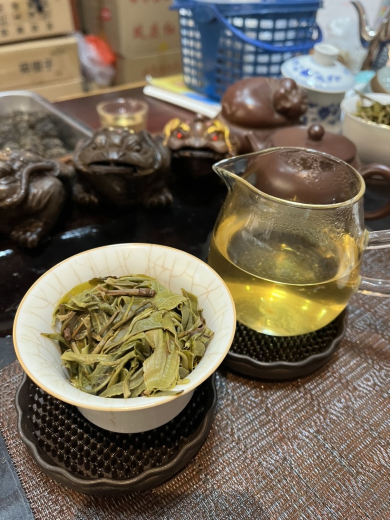 普洱古树茶