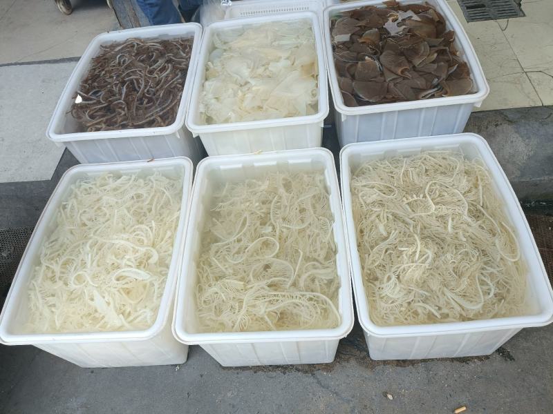 新鲜毛肚脆毛肚50斤1件牛百叶千层肚碎叶片火锅毛肚