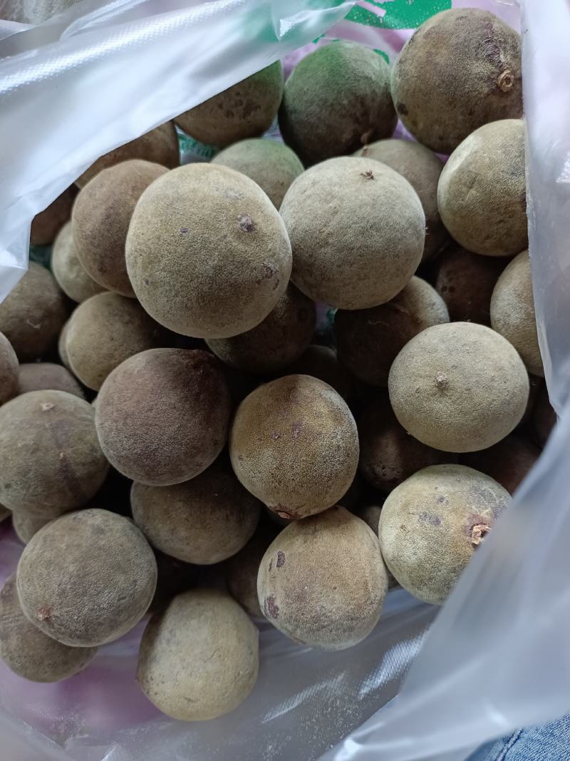 橘红