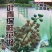 鲜青花椒，九叶青，产地直销保鲜花椒鲜花椒冷冻350克