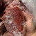 黄牛肉五香黄牛肉腱子肉20斤真空包装牛肉