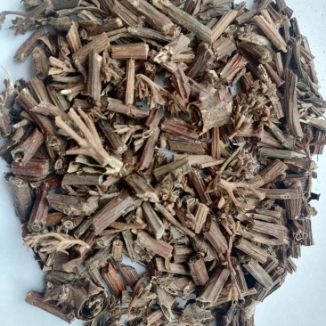 景天三七
