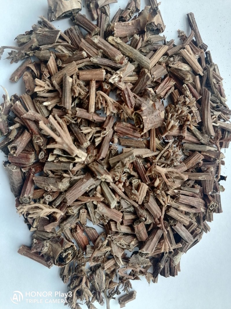 景天三七